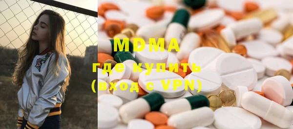 индика Алексин