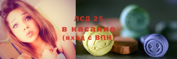 индика Алексин