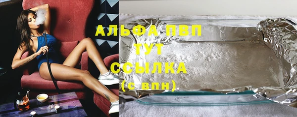 трава Осинники