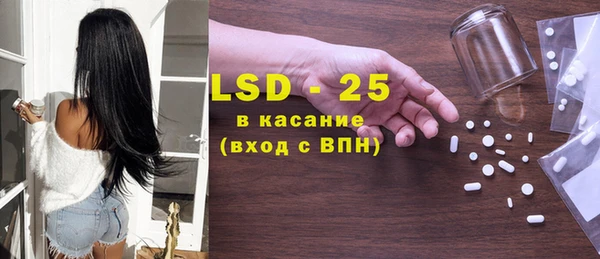 индика Алексин