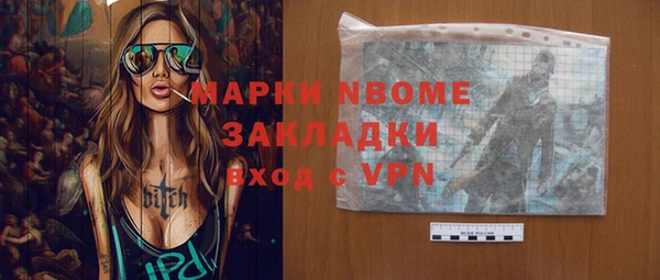 индика Алексин