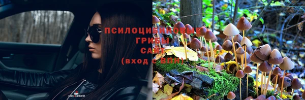 дурь Осташков