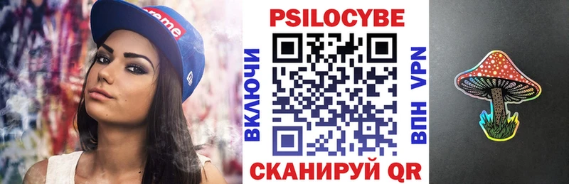 Галлюциногенные грибы Psilocybine cubensis  Ивдель 
